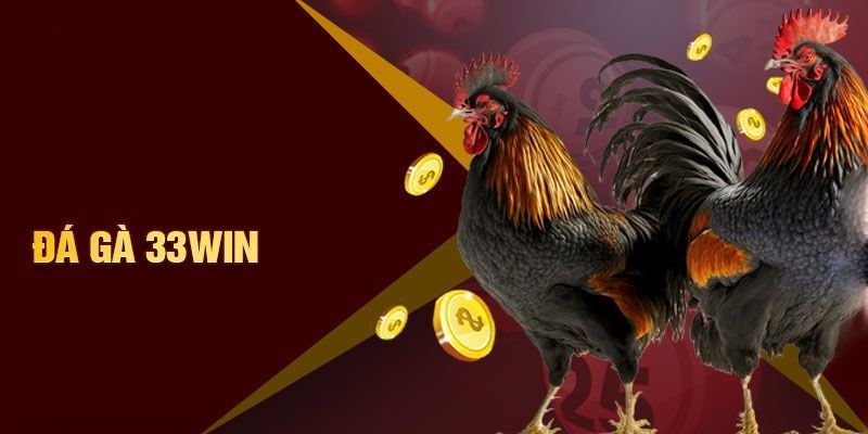 GIới thiệu sảnh đá gà trực tiếp 33WIN GIới thiệu sảnh đá gà trực tiếp 33WIN